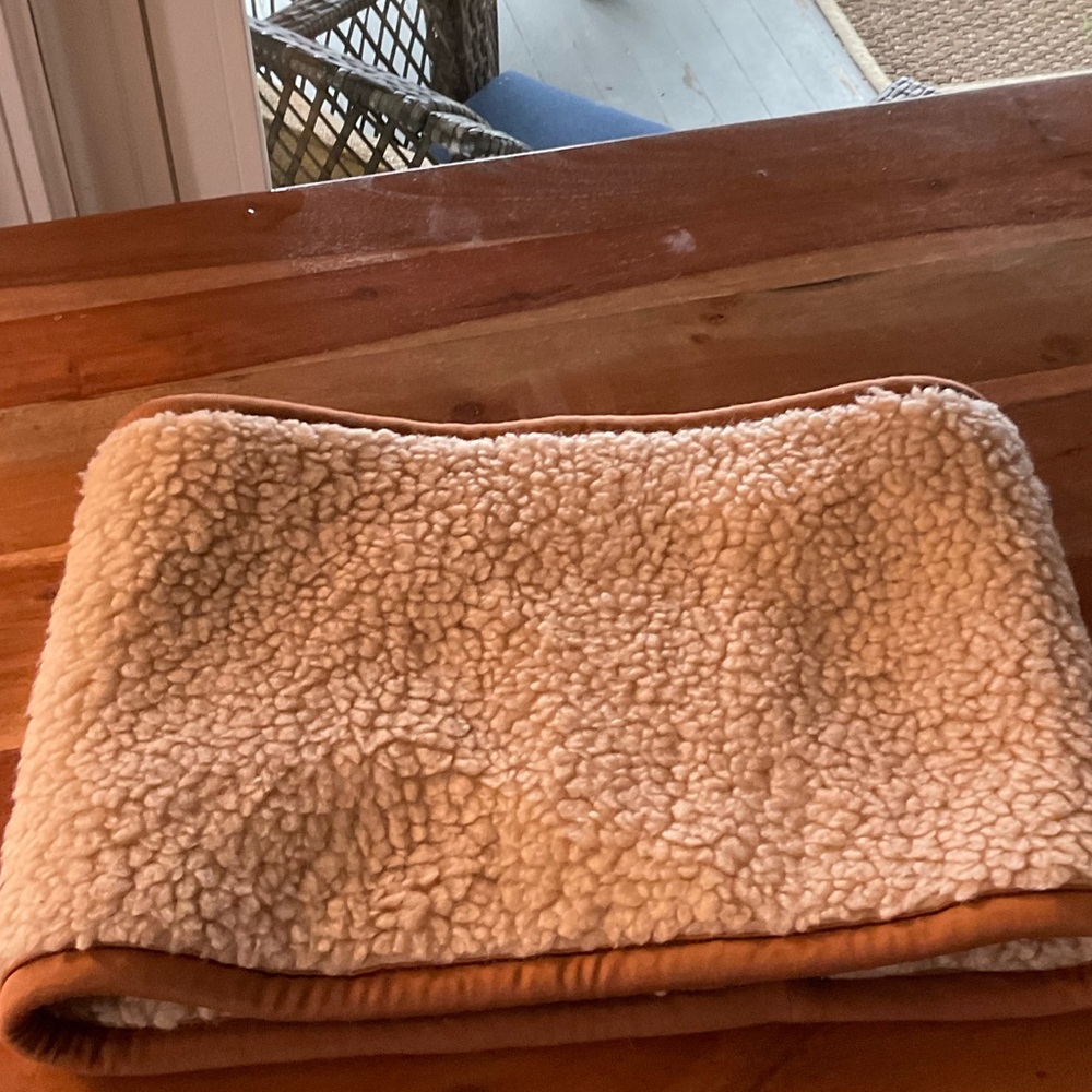 Urban outfitters cowl